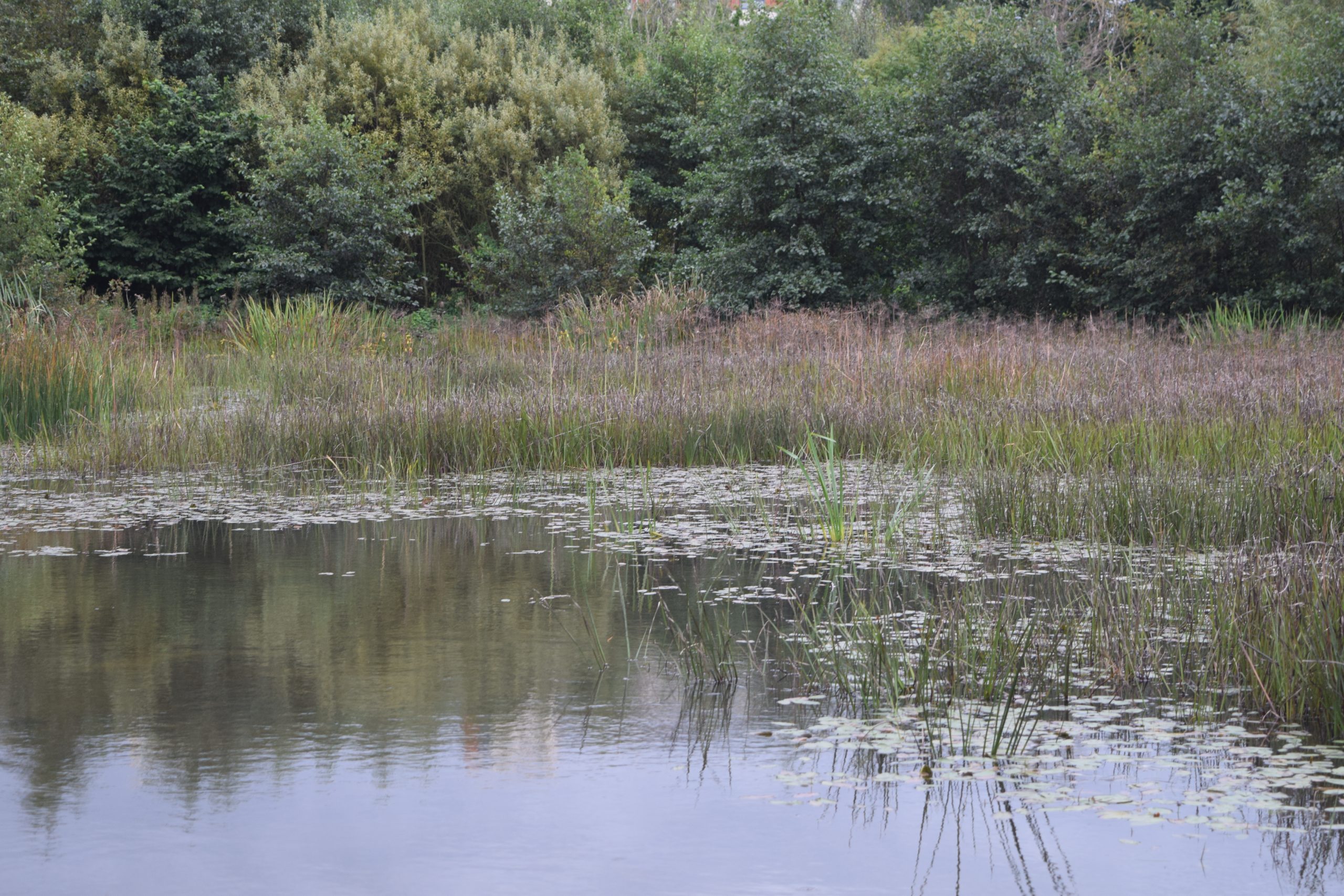 Tolka Valley Park (páirc Ghleann Tulchann) – Dublin City Film Office